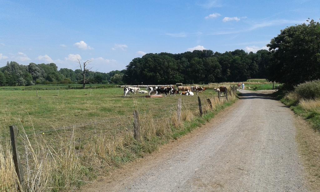 Ferienhaus Burgblick Brueggen Bruggen  Ruang foto