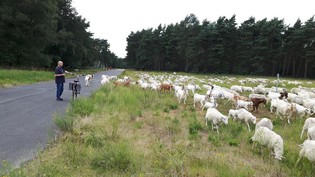 Ferienhaus Burgblick Brueggen Bruggen  Bagian luar foto